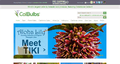 Desktop Screenshot of calbulbs.com